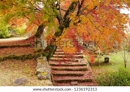 Stone walls and autumn leaves