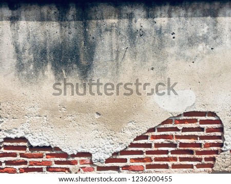 Empty Old Brick Wall heart. Texture. Painted Distressed Wall Surface. Grungy Wide Brickwall. Grunge Red Stonewall Background. Damaged Plaster. Abstract Web Banner. Copy Space.