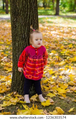 
Photo of a little girl in autumn park