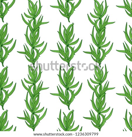 Tarragon. Plant. Stem, leaves. Sketch. Color. Background, wallpaper, seamless, texture.