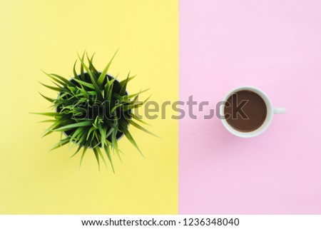 Flat lay design of travel in summer concept - Top view of a little grass and a cup of coffee on pink yellow pastel color screen with copy space in half. travel summer trip on pastel color background.