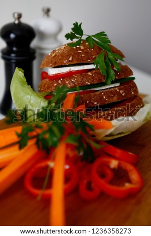 Sandwich with Tomatoes and White Chese food