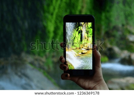 holding smartphone in the forest