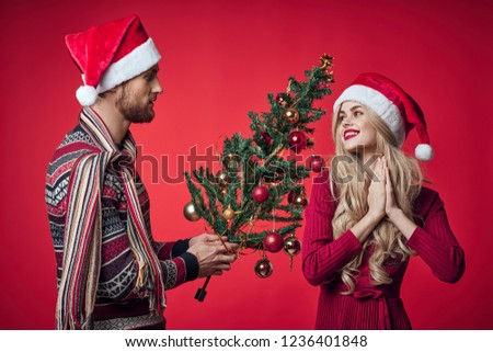 man gives the woman a small Christmas tree New Year                      