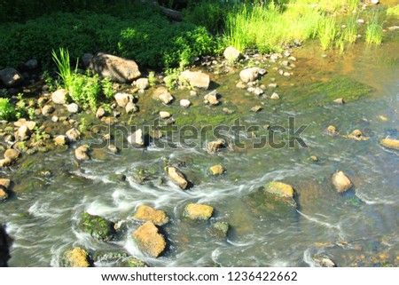 lots of stone in the river Roja in Latvia, the sunny summer day. view from the top