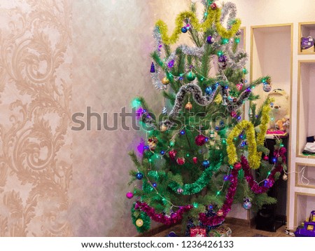 pictured in the photo elegant beautiful live tree in the room