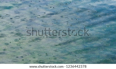 Abstract pattern of sea water surface and circles of the rain drops falling over. Attractive natural turquoise green blue colors of the underwater seaweeds. Beautiful texture of the waves movement.