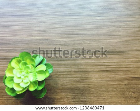 Empty space list and bouquet of green flowers on wood background
