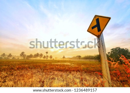 traffic sign Fields during planting rice with coconut tree and beautiful morning sky.