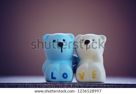 Couple bear blue and white in love concept.