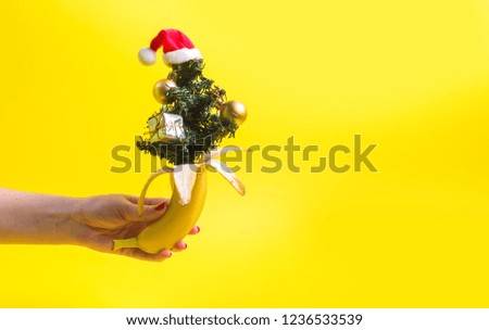 Banana christmas concept
