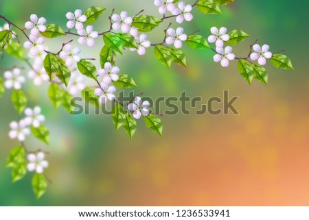 Blossoming branch cherry. Bright colorful spring flowers
