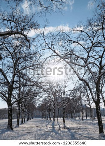 Winter park in Paris. Snowy Paris, France