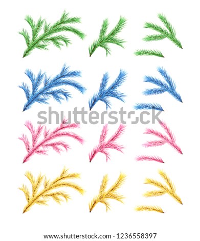 Set of Christmas tree branches in different color variations. Vector fir branches on white background