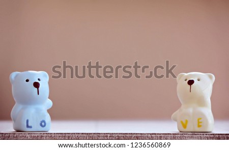 Couple bear blue and white in love concept.