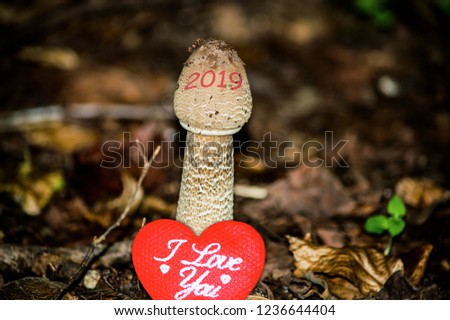 Happy New Year 2019 image. 2019 is growing up and bringing up love. A conceptual abstract background photo of time change, love, and healthy lifestyle concepts.