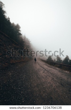 Hiker in a foggy forest