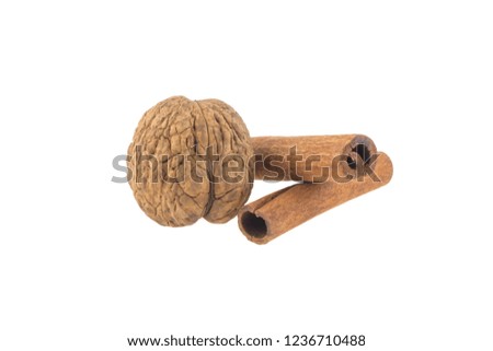 walnut and cinnamon sticks isolated on white background