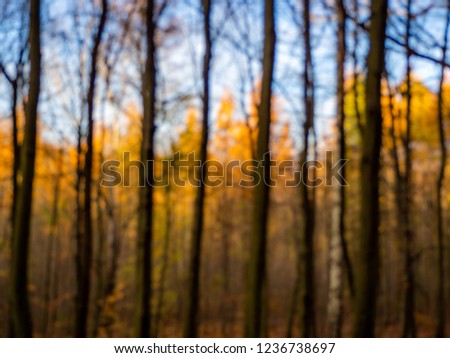 Intentionally blurred colorful autumn scene. Perfect for background. Yellow, green, orange, brown, gold. Blue sky.