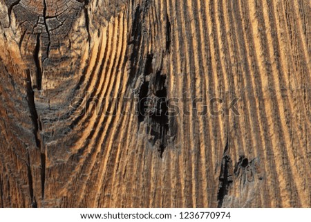Closeup photo of old and weathered barn wood. This barn is about 100 years old and is located in the western part of Northern CA. It has seen a lot of sunrises and sunsets. 