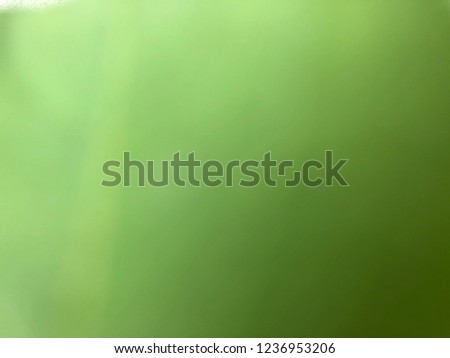 light green background, background of green leaf out focus, blurred green background with fresh leaf under the sun, natural green background for graphic resource