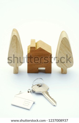 Home key with house keychain and wooden tree mock up on vintage white background, property concept, copy space
