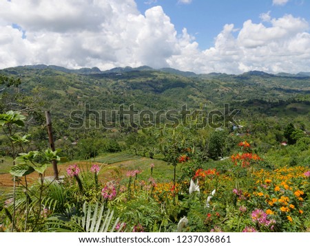 Wide shot of colorful flowers in a garden with distant mountains on a cloudy day