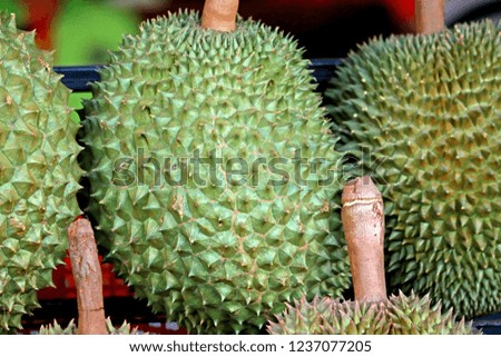 Durian in the local market