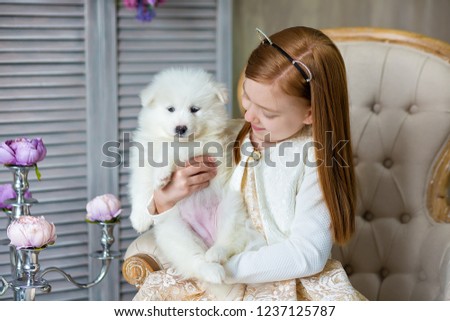 Portrait of ginger hair girl play with husky poppy.Model girl with red hair posing in studio shoot with sammy white puppy while sitting on royal retro armchair wearing cute dress