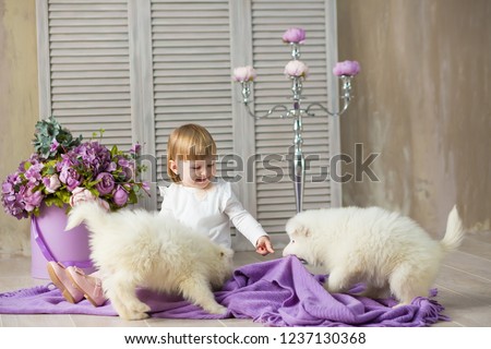 Portrait of blond baby girl playing with husky poppy.Model girl with red hair posing in studio shoot with sammy white puppy while lie on wooden floor close to velvet flowers wearing cute dress