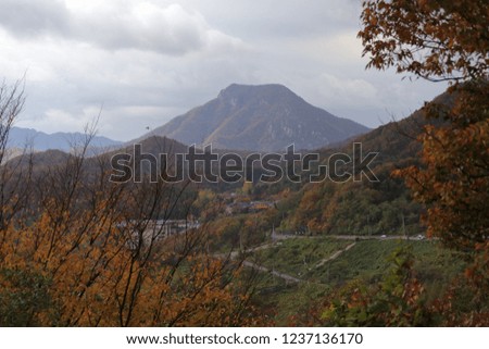 View of autumn trees on the mountain
