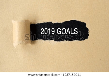 New Year 2019 Goals text on torn paper