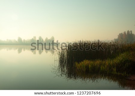 Misty morning on the lake. Calm autumn landscape. Autumn trees and water picture.