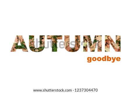 Phrase in capital letters of autumn leaves on a poster, autumn farewell