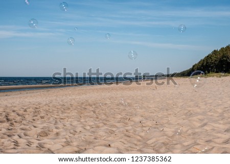panoramic sea beach view in summer with rocks, plants and clean water in sunny day with soap bubbles in the air