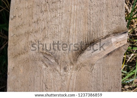 old wooden plank texture in direct sunlight with cracks