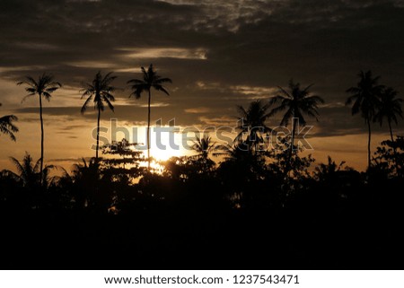 Palm trees silhouettes on tropical beach village at summer warm vivid sunset time
