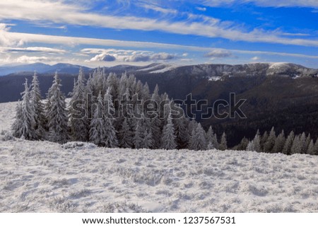 Landscape of winter Carpathians with snow-covered fir in the foreground. Beautiful landscape of majestic mountains in winter. Magical snow covered trees. Carpathian Ukraine. Happy New Year.
