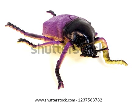 insect toy isolate on white background