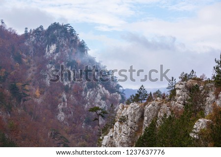 Autumn scenery in remote mountains in Europe, with beautiful foliage and rock hanging pine trees