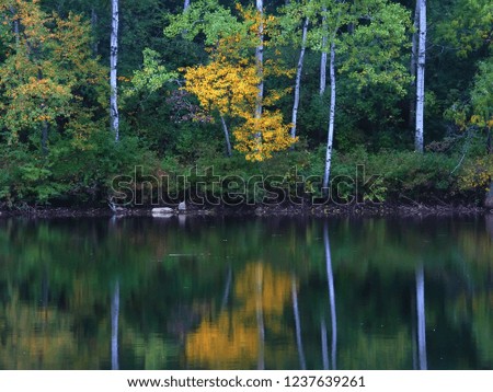 Beautiful colors reflect off a pond at Kettle Moraine State Forest in Wisconsin