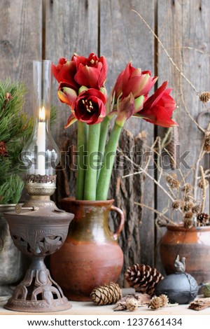 Floral Composition with Amaryllis in Vintage Old Clay Pitcher, Rusty Oil Lamp on Aged Wooden Background, Vertical Photo, Rustic Style