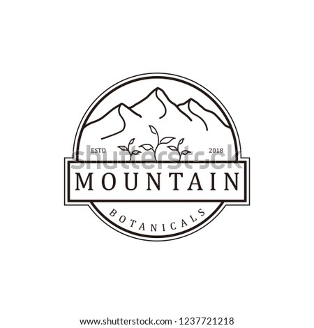 Mountain vintage logo design