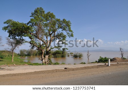 Lake Chamo in Ethiopia