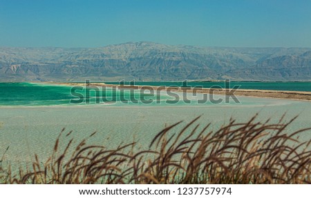 Beautiful photo coast of the Dead Sea , Israel .