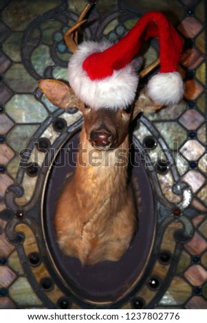 Stuffed Deer Head with a Santa Claus Hat. Mounted Taxidermy Deer head wears a Santa Hat. 