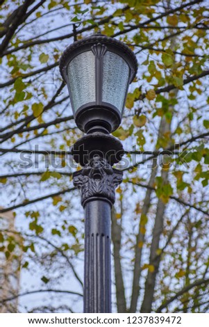 lantern in the Park