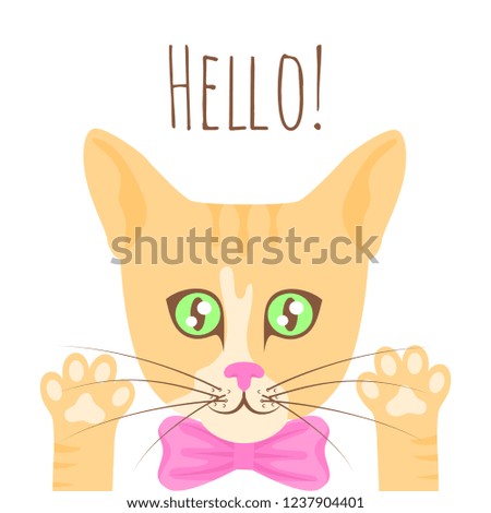 Vector cute illustration with face of ginger cat in pink bow tie with raised up paws isolated on the white background. Text Hello.