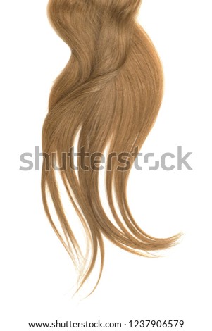 Curl of natural brown hair, isolated on white background