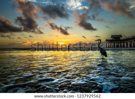 Exotic Bird staring off into sunrise as fisherman and boat are captured in the background at The Cocoa Beach Pier, one of Florida's most popular tourist destinations.